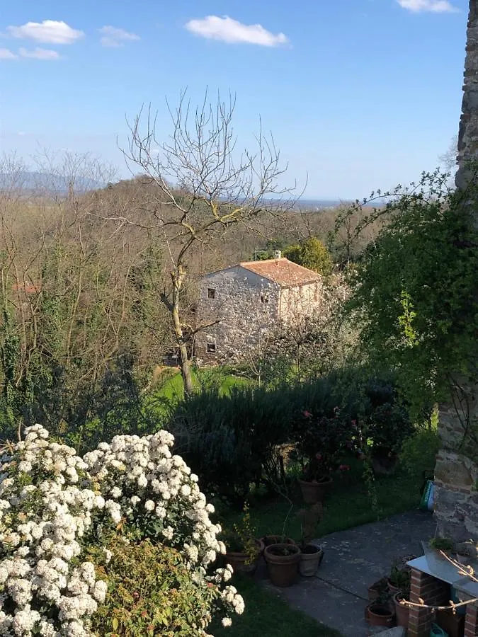 Dolce Vita In Tuscany B&B Capannori