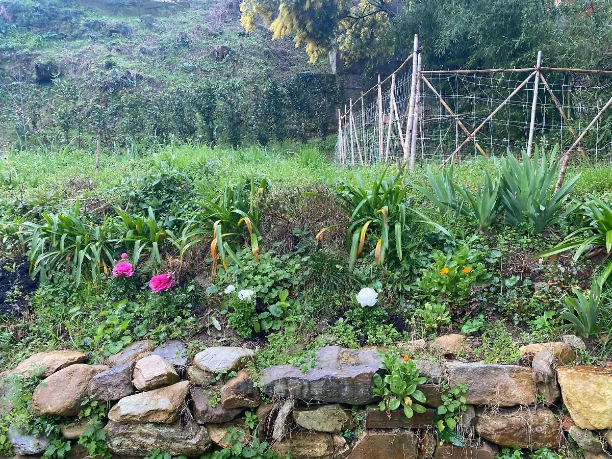 Dolce Vita In Tuscany B&B Capannori